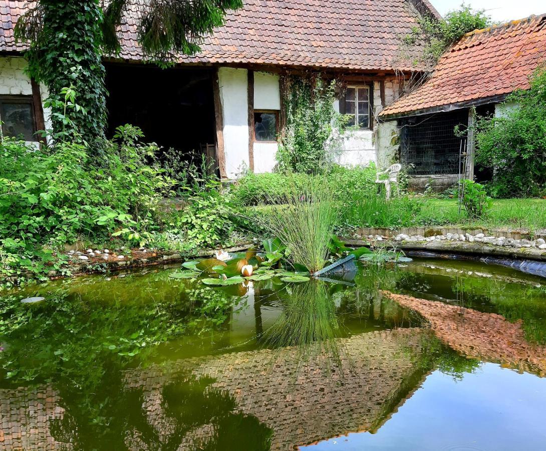 Le Domaine Des Anges Guest House Wavrans-sur-l'Aa Exterior photo