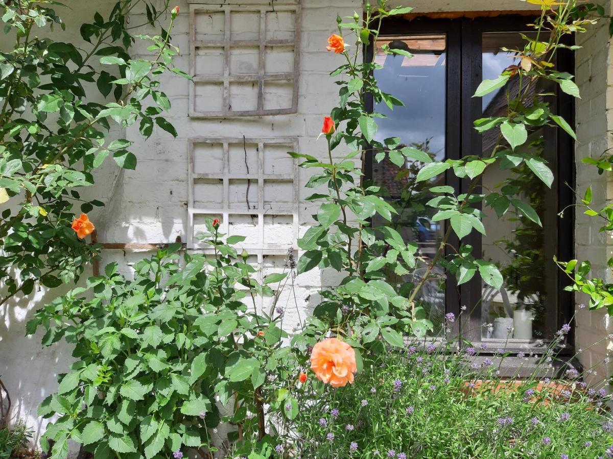 Le Domaine Des Anges Guest House Wavrans-sur-l'Aa Exterior photo